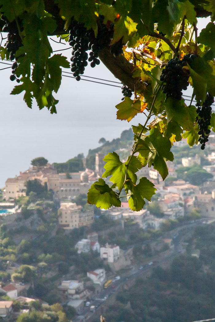 Agriturismo Monte Brusara