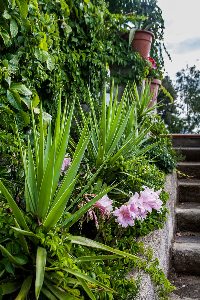 Agriturismo Monte Brusara