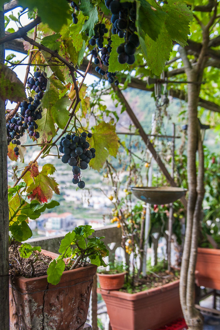 Agriturismo Monte Brusara