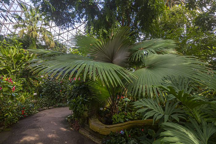 Mitchell Park Domes