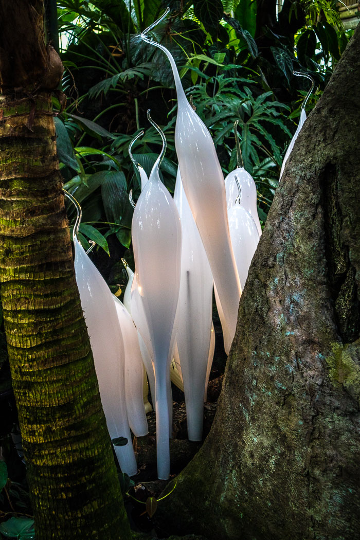New York Botanical Gardens