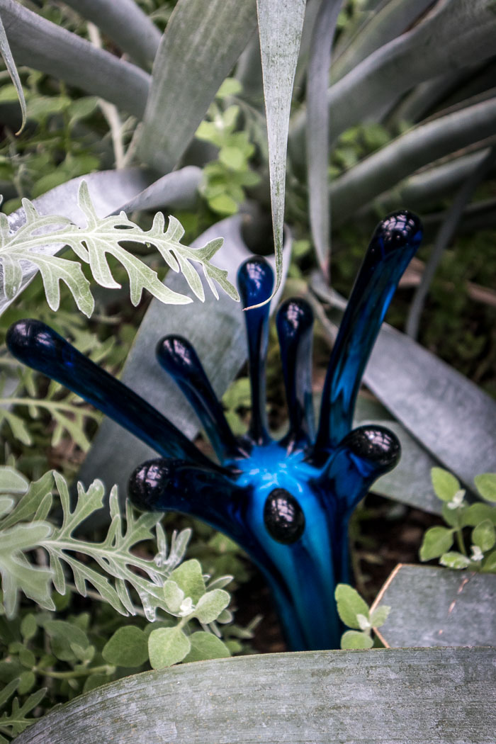 New York Botanical Gardens