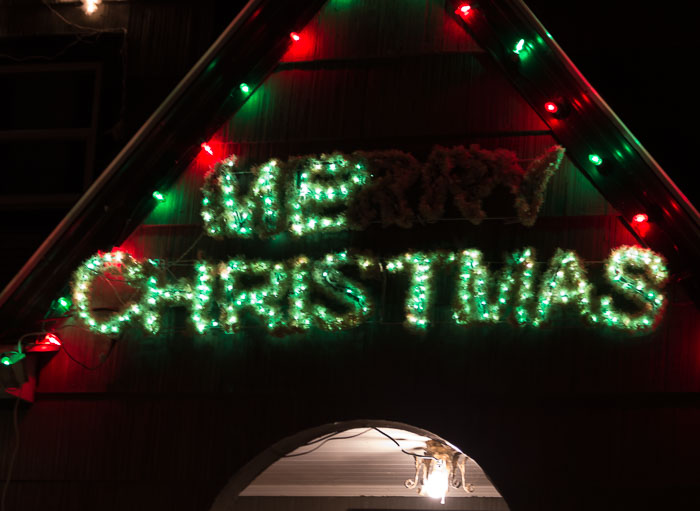 Holiday Lights
