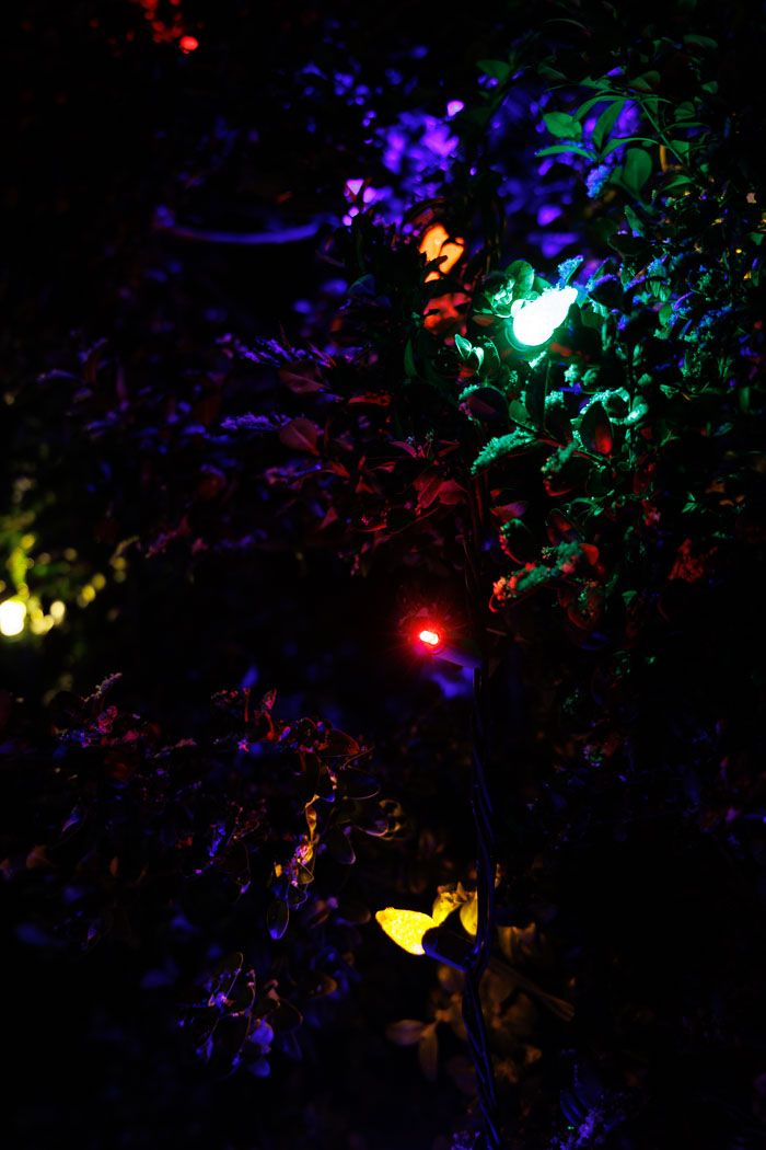 Holiday Lights Holiday Lights