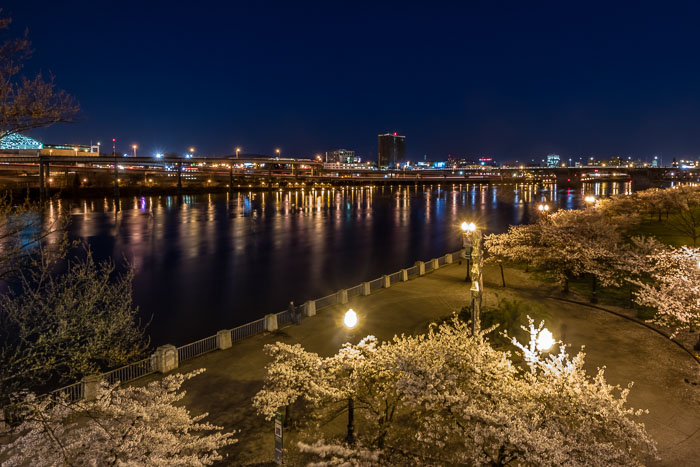 Portland After Dark