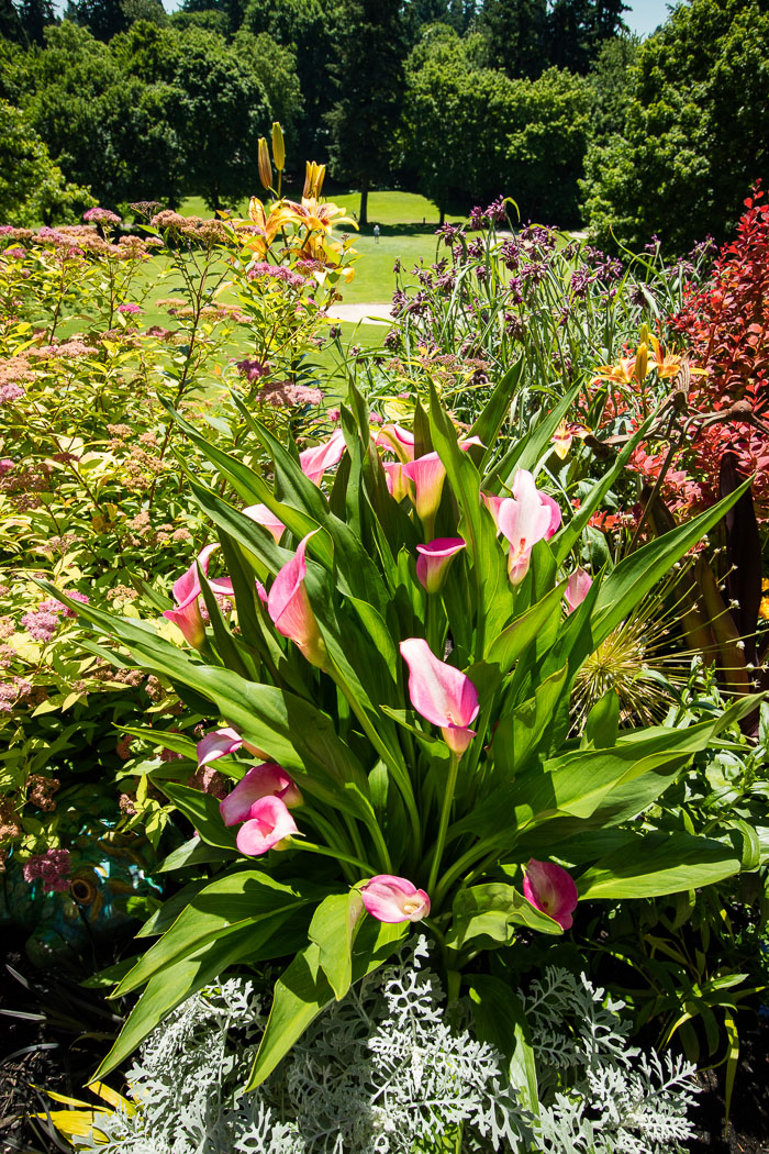 Portland Gardens Portland Gardens