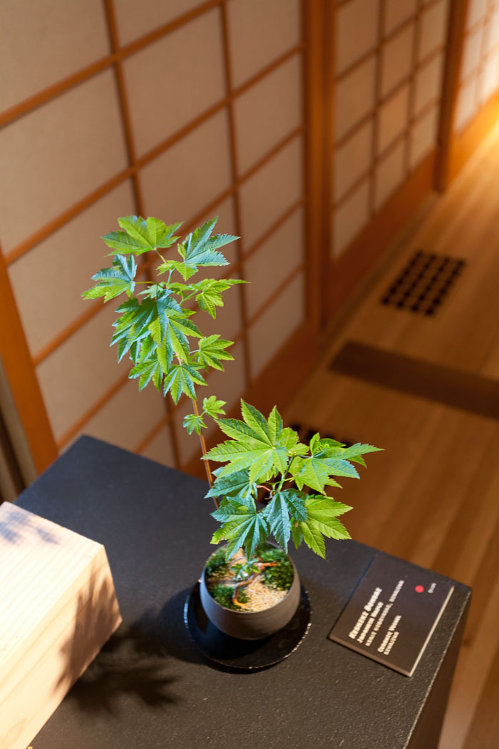 Portland Japanese Gardens