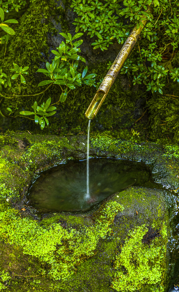 Portland Japanese Gardens