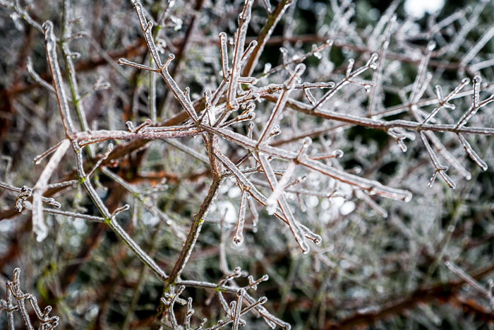 Snowlandia Snowlandia
