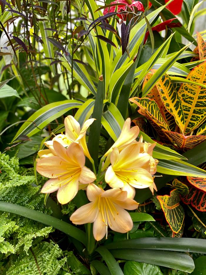 Seattle Photo Safari