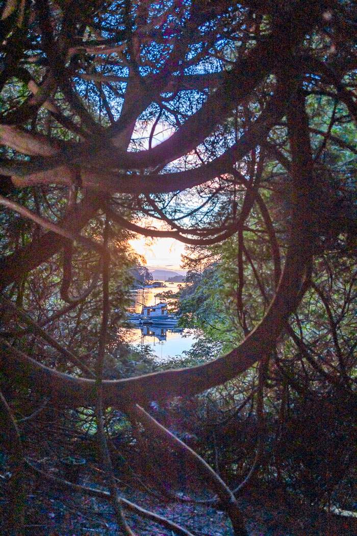 Buchart Gardens After Dark