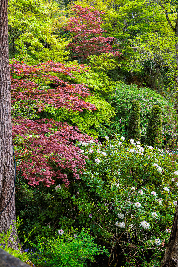 Buchart Gardens Buchart Gardens
