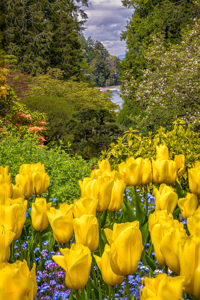 Buchart Gardens
