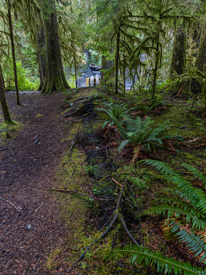 Vancouver Island Out and About Vancouver Island Out and About