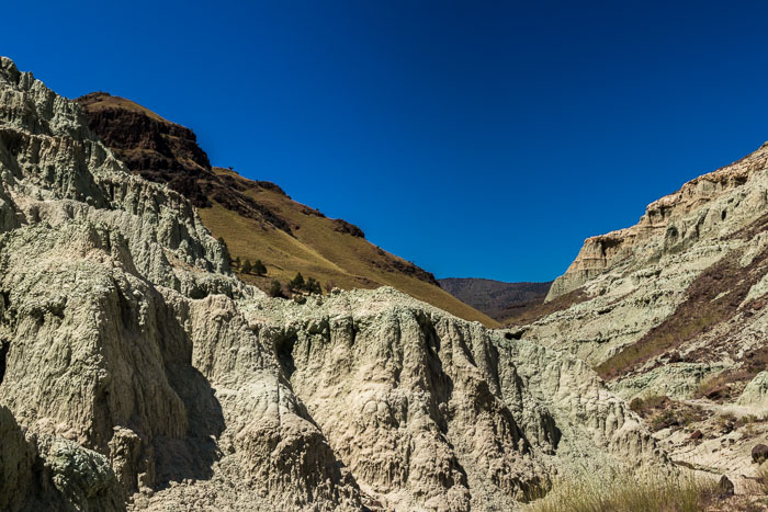 John Day Fossil Beds