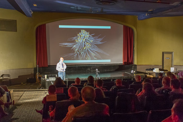 20140924 Cannabis Pharmacy: The Practical Guide to Medical Marijuana