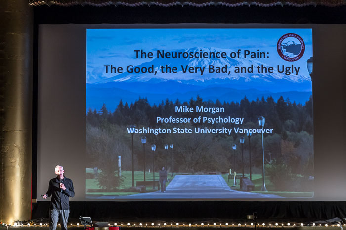 20170614 The Neuroscience of Pain