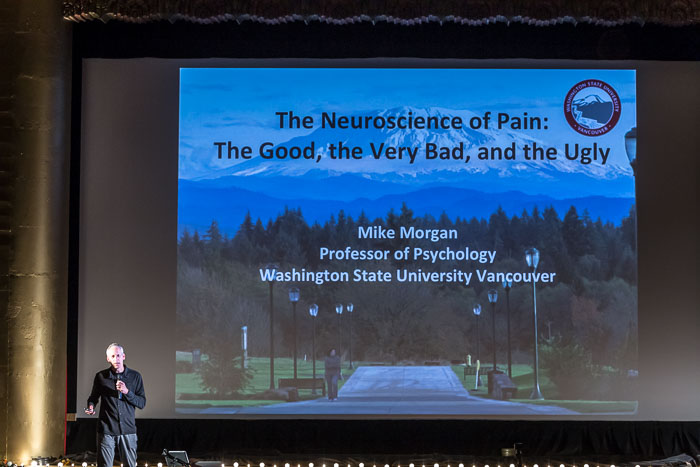 20170614 The Neuroscience of Pain 20170614 The Neuroscience of Pain
