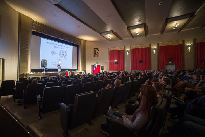 20170614 The Neuroscience of Pain