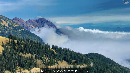 View from Hurricane Ridge, Olympic N.P.